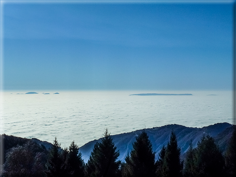 foto Pedemontana Veneta nella nebbia